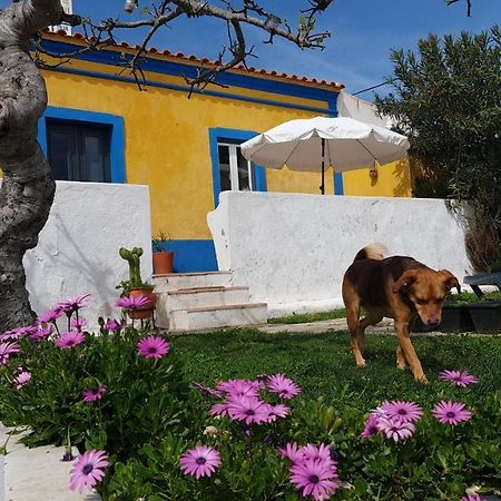 Monte Da Ti Luzia Βίλα Φάρο Εξωτερικό φωτογραφία