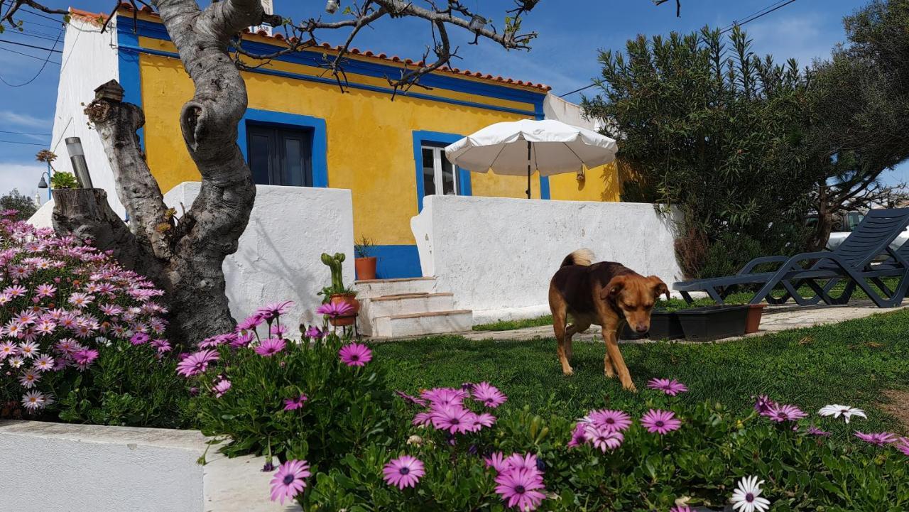 Monte Da Ti Luzia Βίλα Φάρο Εξωτερικό φωτογραφία